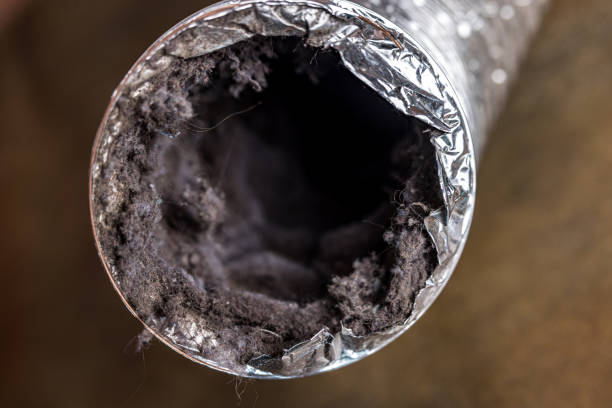 Best Professional Duct Cleaning Services  in Ofallon, MO