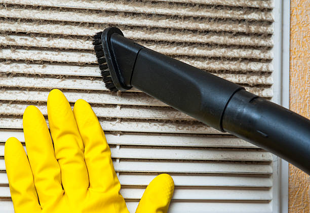Best Air Duct Mold Removal  in Ofallon, MO